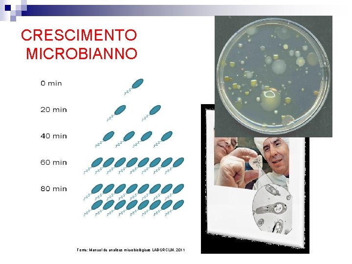 CRESCIMENTO MICROBIANNO Fonte: Manual de analises microbiológicas LABORCLIN, 2011 