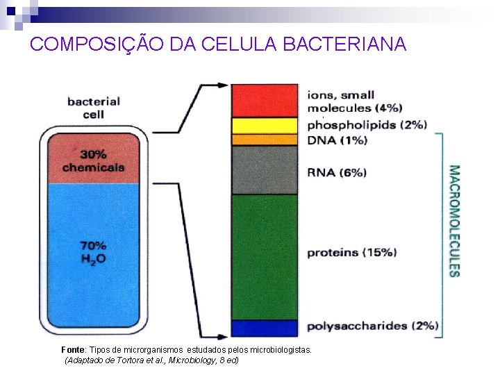 COMPOSIÇÃO DA CELULA BACTERIANA Fonte: Tipos de microrganismos estudados pelos microbiologistas. (Adaptado de Tortora