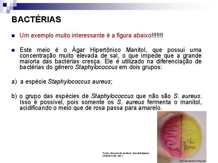 BACTÉRIAS n Um exemplo muito interessante é a figura abaixo!!!!!!! n Este meio é