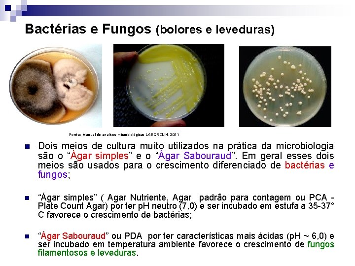 Bactérias e Fungos (bolores e leveduras) Fonte: Manual de analises microbiológicas LABORCLIN, 2011 n