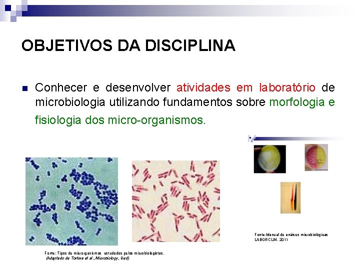 OBJETIVOS DA DISCIPLINA n Conhecer e desenvolver atividades em laboratório de microbiologia utilizando fundamentos