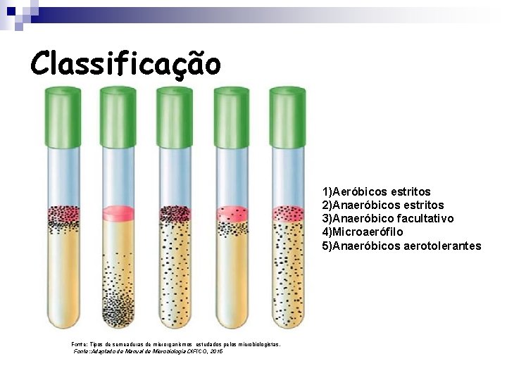 Classificação 1)Aeróbicos estritos 2)Anaeróbicos estritos 3)Anaeróbico facultativo 4)Microaerófilo 5)Anaeróbicos aerotolerantes Fonte: Tipos de semeaduras