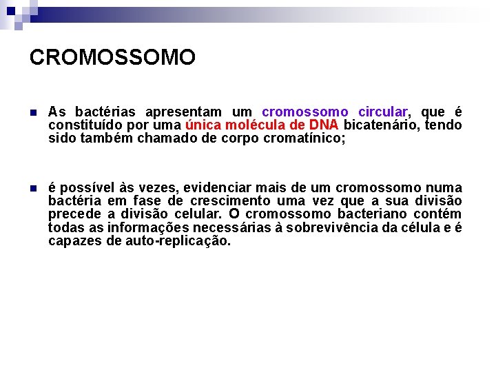 CROMOSSOMO n As bactérias apresentam um cromossomo circular, que é constituído por uma única