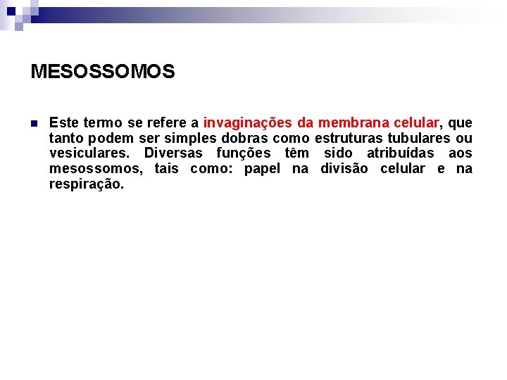MESOSSOMOS n Este termo se refere a invaginações da membrana celular, que tanto podem