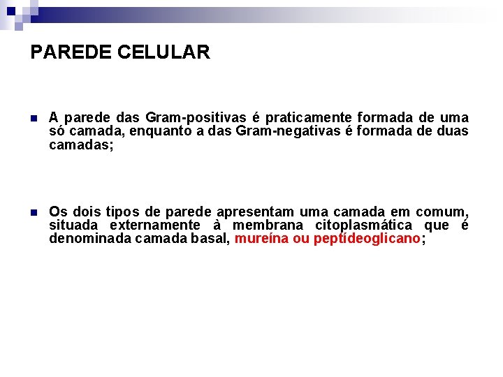 PAREDE CELULAR n A parede das Gram-positivas é praticamente formada de uma só camada,