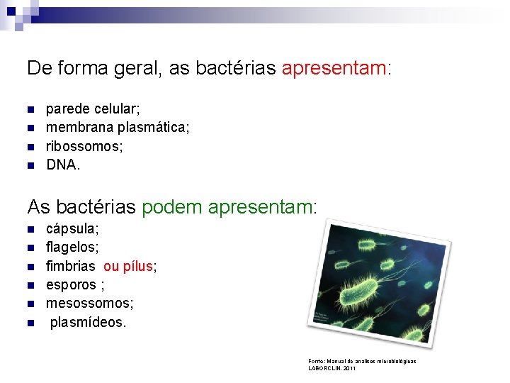 De forma geral, as bactérias apresentam: n n parede celular; membrana plasmática; ribossomos; DNA.