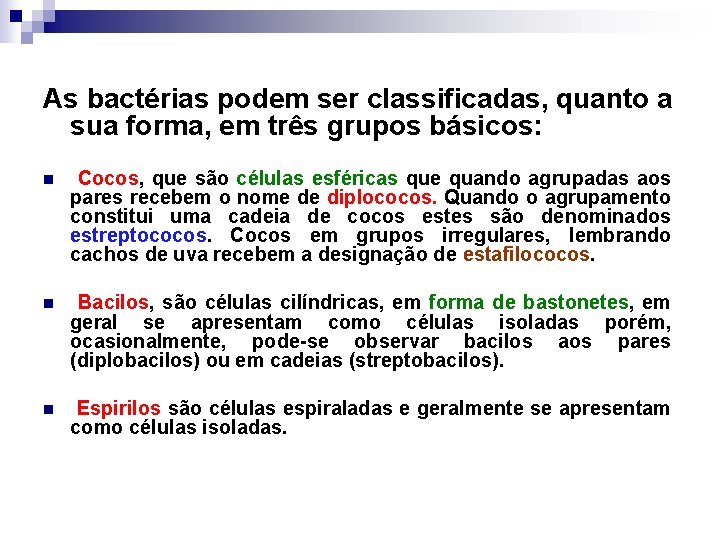As bactérias podem ser classificadas, quanto a sua forma, em três grupos básicos: n