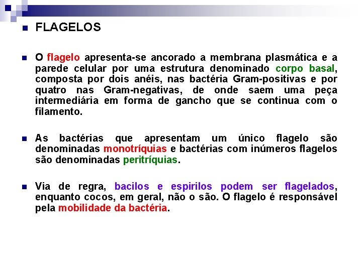 n FLAGELOS n O flagelo apresenta-se ancorado a membrana plasmática e a parede celular