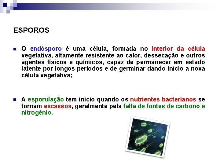 ESPOROS n O endósporo é uma célula, formada no interior da célula vegetativa, altamente