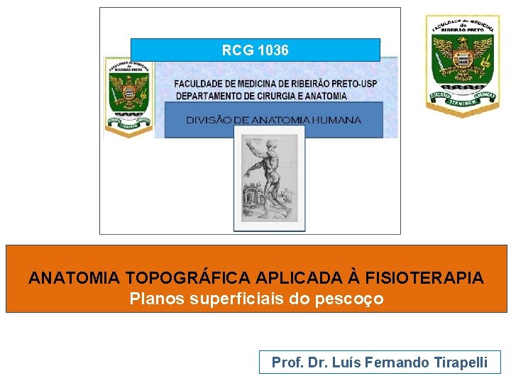 RCG 1036 ANATOMIA TOPOGRÁFICA APLICADA À FISIOTERAPIA Planos superficiais do pescoço Prof. Dr. Luís