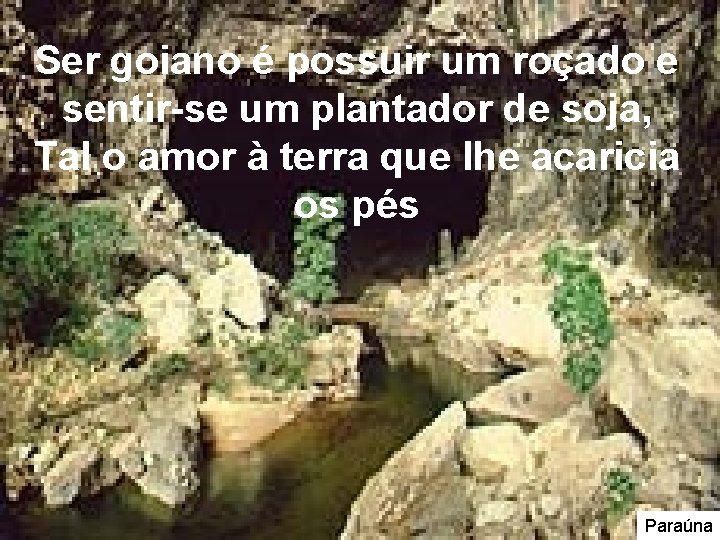 Ser goiano é possuir um roçado e sentir-se um plantador de soja, Tal o Ser goiano é possuir um roçado e sentir-se um plantador de soja, Tal o