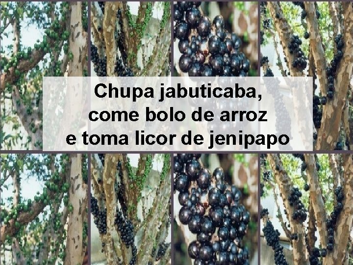 Chupa jabuticaba, come bolo de arroz e toma licor de jenipapo Chupa jabuticaba, come bolo de arroz e toma licor de jenipapo