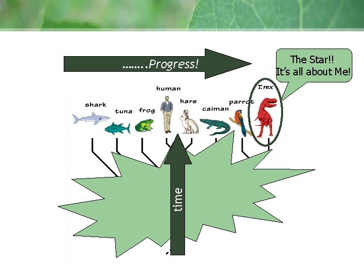 time ……. . Progress! The Star!! It’s all about Me! 