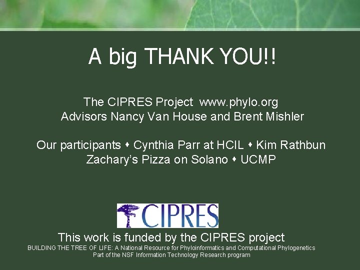 A big THANK YOU!! The CIPRES Project www. phylo. org Advisors Nancy Van House