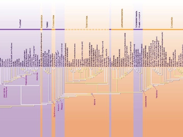 Science, Vol 300, Issue 5626, p 1694, 13 June 20 