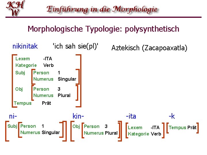 Morphologische Typologie: polysynthetisch nikinitak Lexem Kategorie 'ich sah sie(pl)' -ITA Verb Subj Person 1