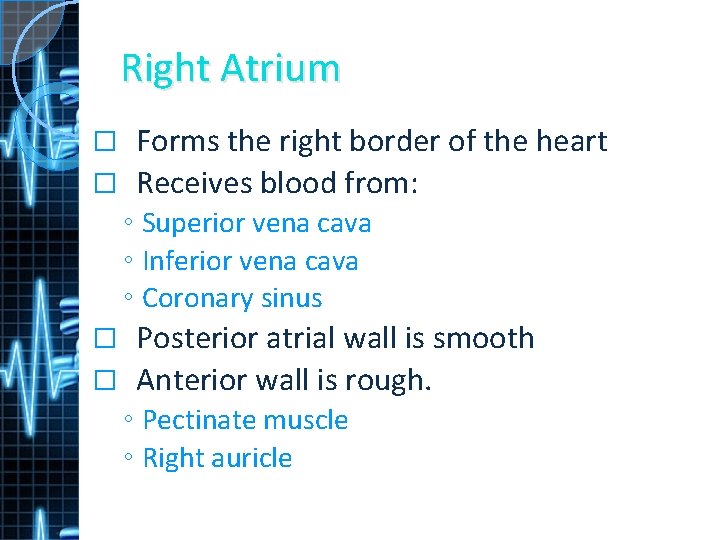 Right Atrium Forms the right border of the heart � Receives blood from: �