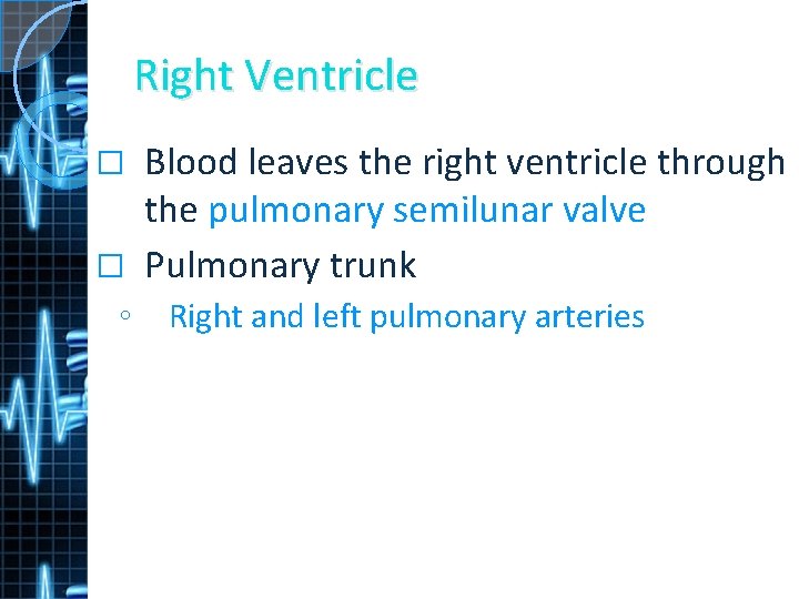 Right Ventricle Blood leaves the right ventricle through the pulmonary semilunar valve � Pulmonary