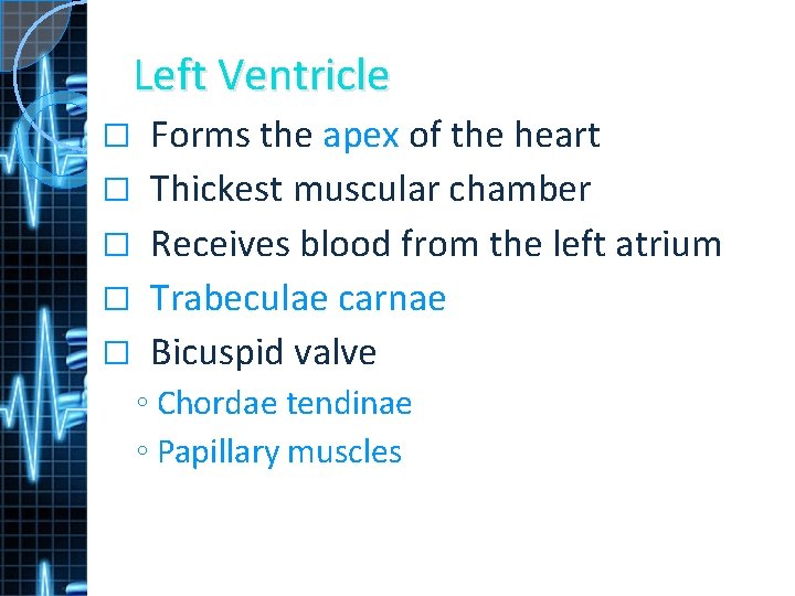 Left Ventricle � � � Forms the apex of the heart Thickest muscular chamber
