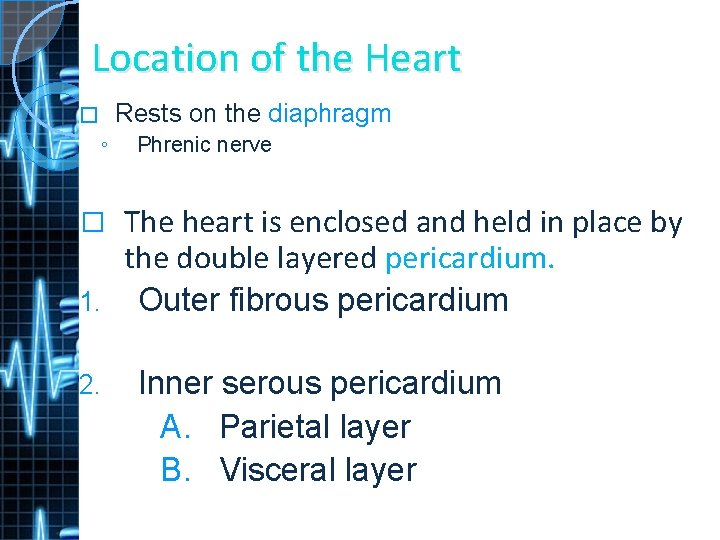 Location of the Heart Rests on the diaphragm � ◦ Phrenic nerve The heart