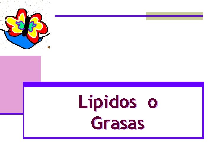 Lípidos o Grasas 