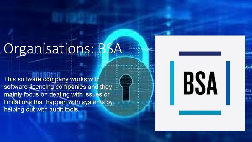 Organisations: BSA This software company works with software licencing companies and they mainly focus