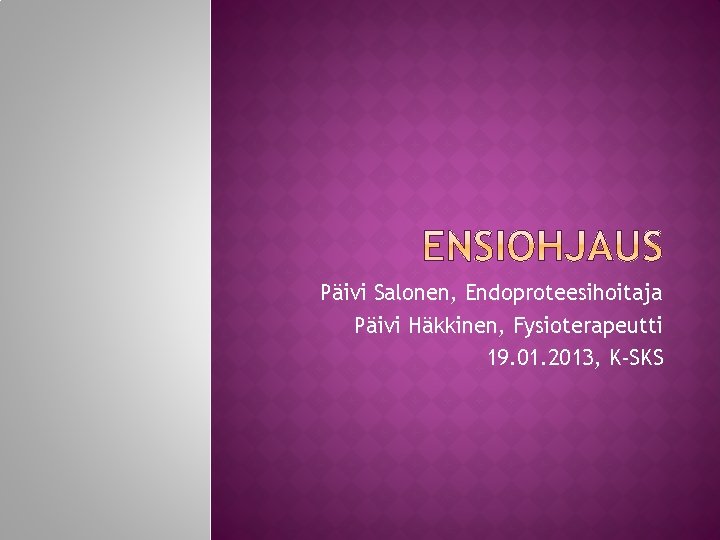 Päivi Salonen, Endoproteesihoitaja Päivi Häkkinen, Fysioterapeutti 19. 01. 2013, K-SKS 