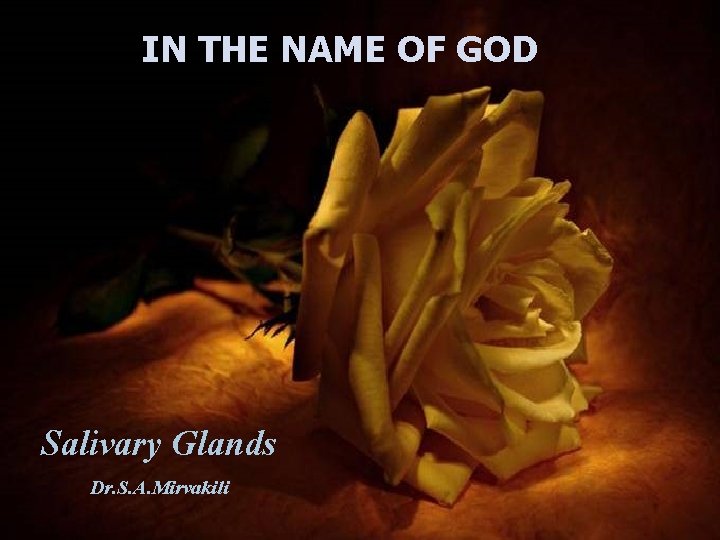 IN THE NAME OF GOD Salivary Glands Dr. S. A. Mirvakili 