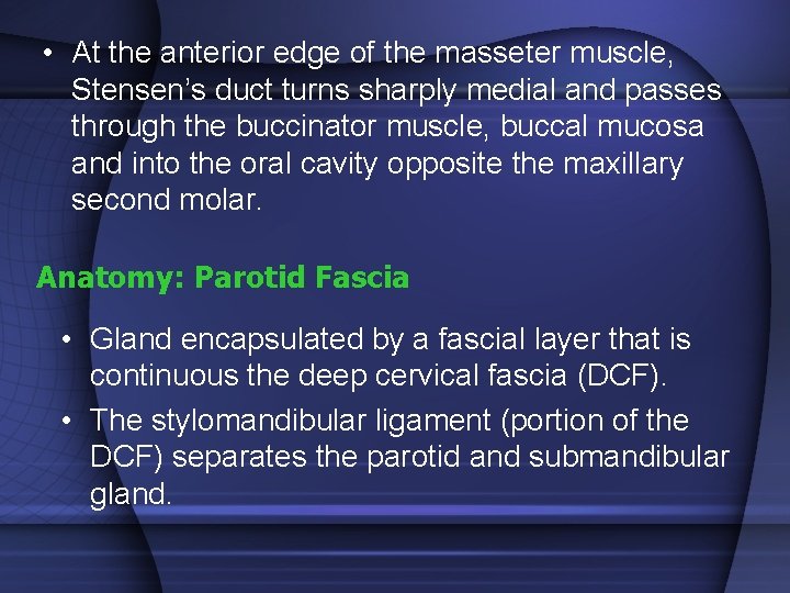  • At the anterior edge of the masseter muscle, Stensen’s duct turns sharply