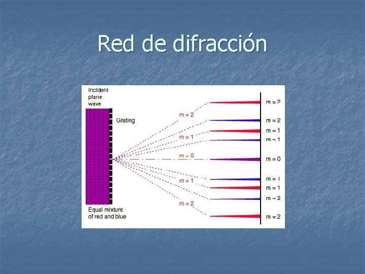 Red de difracción 