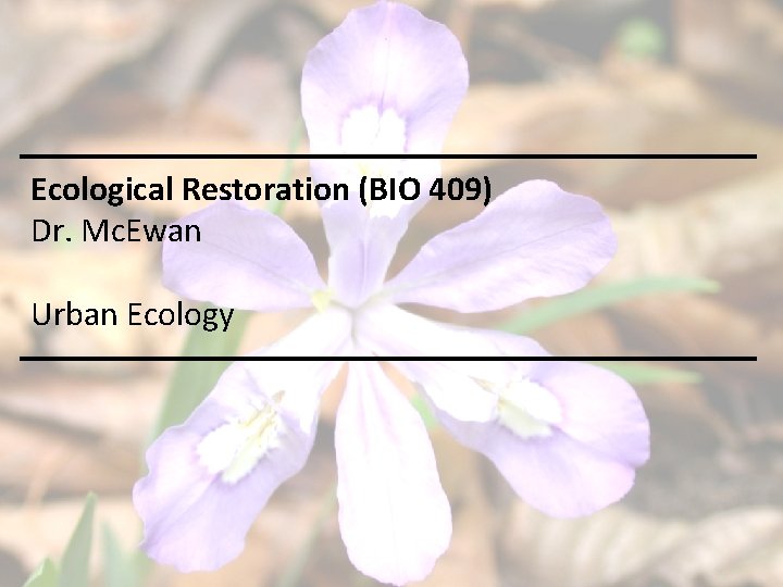 Ecological Restoration (BIO 409) Dr. Mc. Ewan Urban Ecology 