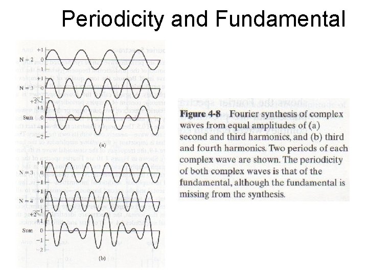 Periodicity and Fundamental 