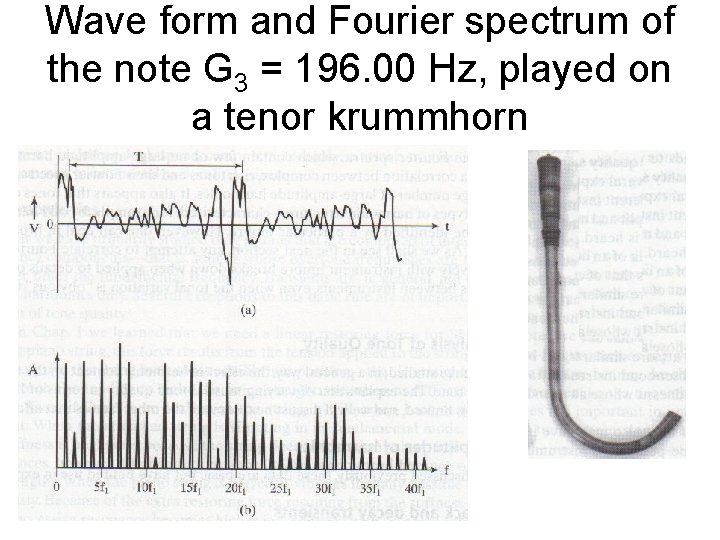 Wave form and Fourier spectrum of the note G 3 = 196. 00 Hz,