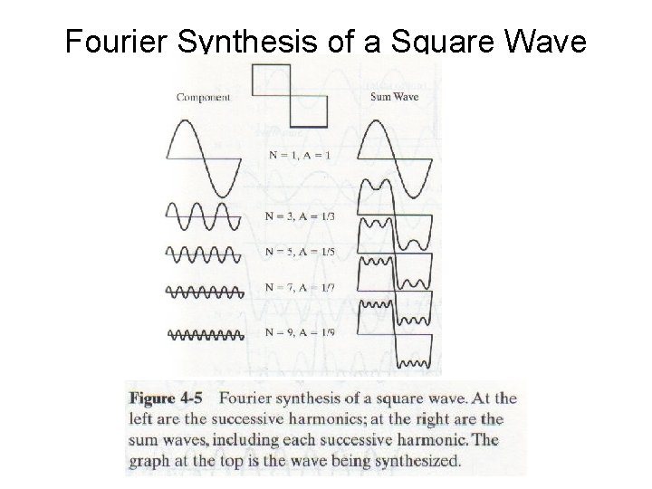 Fourier Synthesis of a Square Wave 