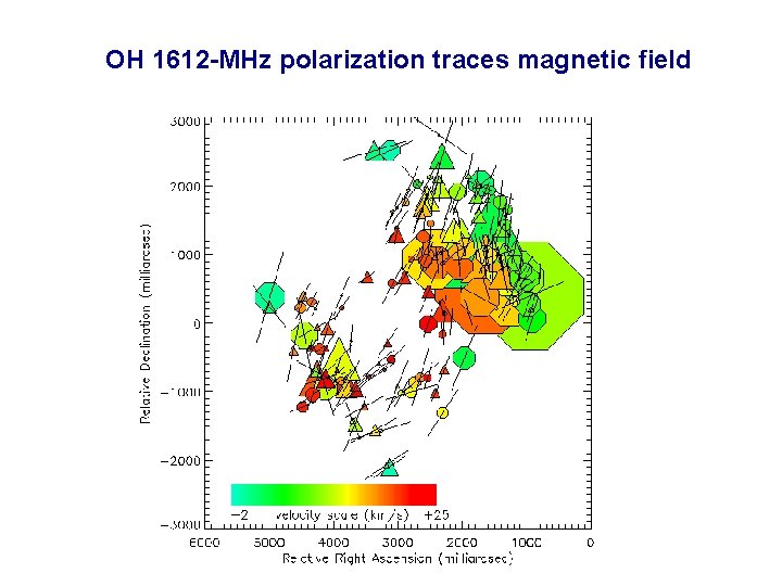 OH 1612 -MHz polarization traces magnetic field 