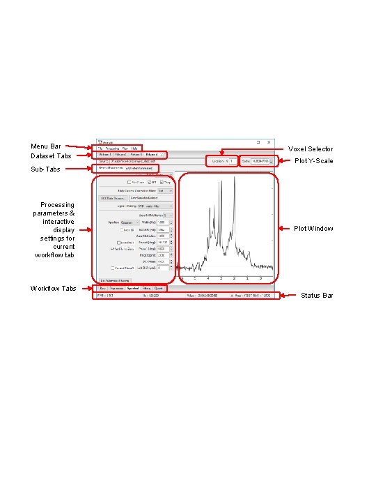 Menu Bar Dataset Tabs Voxel Selector Plot Y-Scale Sub-Tabs Processing parameters & interactive display
