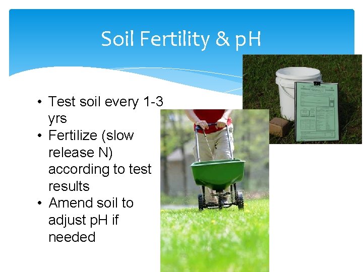 Soil Fertility & p. H • Test soil every 1 -3 yrs • Fertilize
