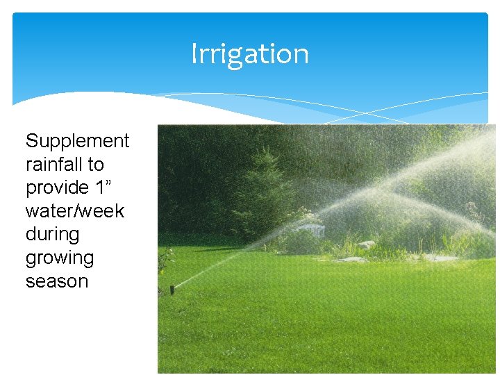Irrigation Supplement rainfall to provide 1” water/week during growing season 
