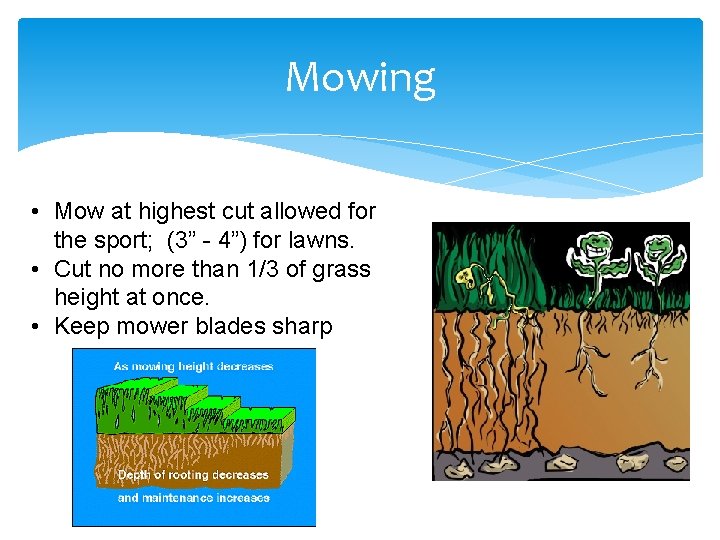 Mowing • Mow at highest cut allowed for the sport; (3” - 4”) for