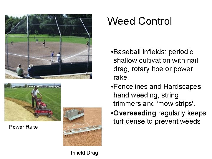 Weed Control • Baseball infields: periodic shallow cultivation with nail drag, rotary hoe or