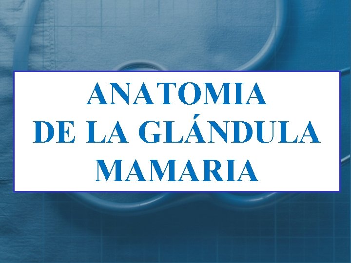 ANATOMIA DE LA GLÁNDULA MAMARIA 