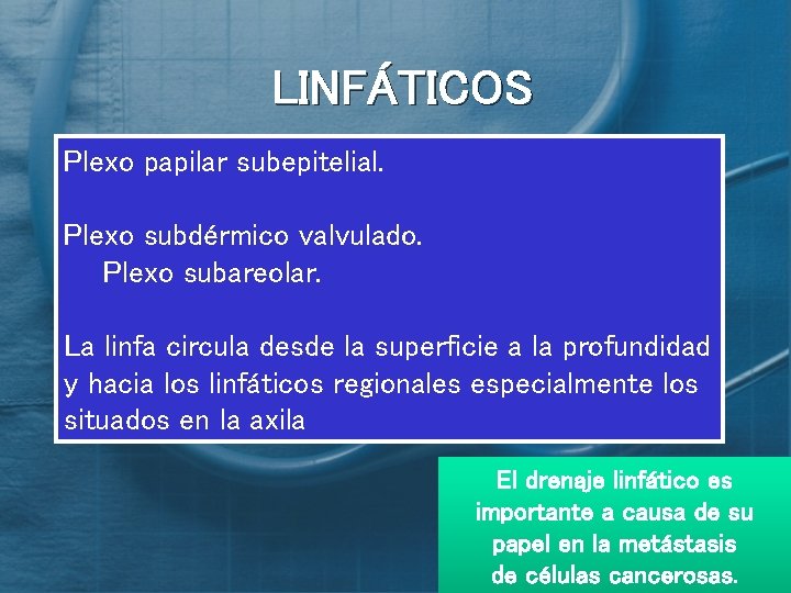 LINFÁTICOS Plexo papilar subepitelial. Plexo subdérmico valvulado. Plexo subareolar. La linfa circula desde la