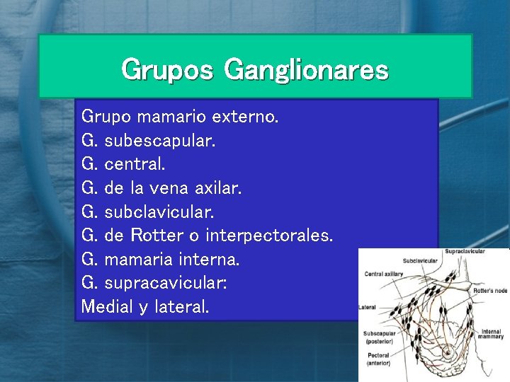 Grupos Ganglionares Grupo mamario externo. G. subescapular. G. central. G. de la vena axilar.