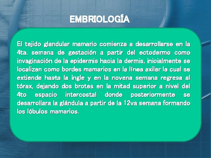 EMBRIOLOGÍA El tejido glandular mamario comienza a desarrollarse en la 4 ta. semana de
