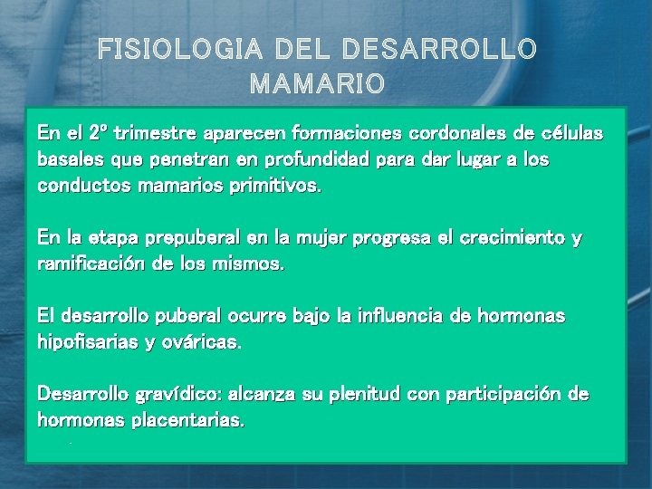 FISIOLOGIA DEL DESARROLLO MAMARIO En el 2º trimestre aparecen formaciones cordonales de células basales