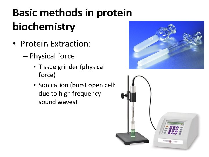 Basic methods in protein biochemistry • Protein Extraction: – Physical force • Tissue grinder