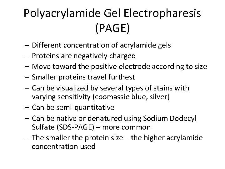 Polyacrylamide Gel Electropharesis (PAGE) – Different concentration of acrylamide gels – Proteins are negatively
