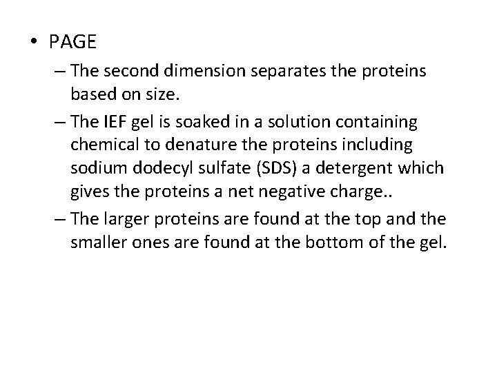  • PAGE – The second dimension separates the proteins based on size. –