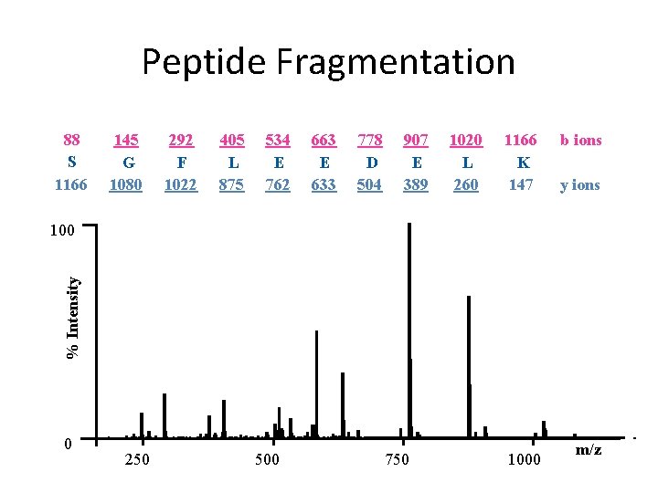Peptide Fragmentation 88 S 1166 145 G 1080 292 F 1022 405 L 875