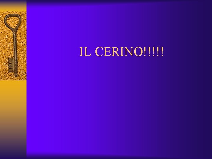 IL CERINO!!!!! 